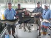(08/03/2017) - Nice Striped Bass